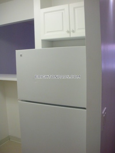 Brighton 1 Bed 1 Bath Boston - $2,975