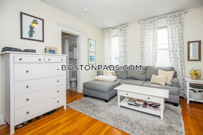 Allston 1 Bed 1 Bath Boston - $2,495 No Fee