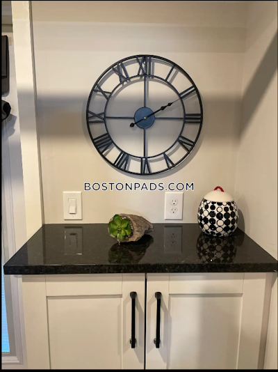 Brookline 1 Bed 1 Bath  North Brookline - $3,000