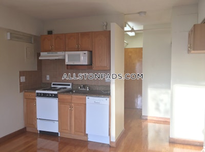 Allston Apartment for rent Studio 1 Bath Boston - $2,150