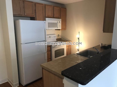 Dorchester Apartment for rent 2 Bedrooms 2 Baths Boston - $5,122 No Fee