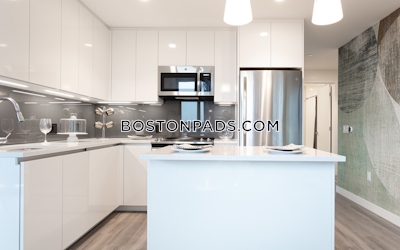 West End 2 bedroom  Luxury in BOSTON Boston - $11,305