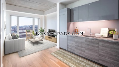 South End 2 bedroom  baths Luxury in BOSTON Boston - $4,785