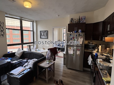 Downtown Apartment for rent 1 Bedroom 1 Bath Boston - $2,600