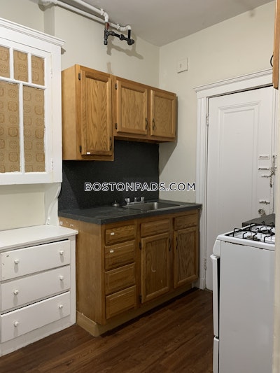 Brighton Apartment for rent 1 Bedroom 1 Bath Boston - $2,675 No Fee