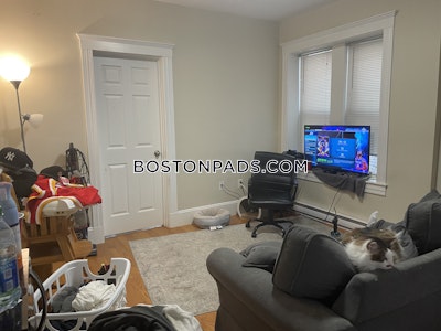 Mission Hill Apartment for rent 2 Bedrooms 1 Bath Boston - $2,895 No Fee