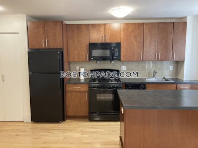 Brighton Apartment for rent 1 Bedroom 1 Bath Boston - $3,393