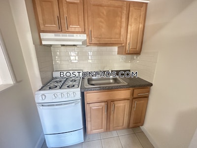 Allston Apartment for rent Studio 1 Bath Boston - $1,900