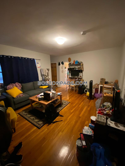 Brighton Apartment for rent 1 Bedroom 1 Bath Boston - $2,350