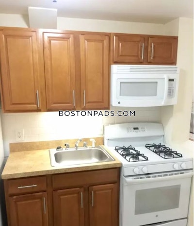 Brighton Apartment for rent 1 Bedroom 1 Bath Boston - $2,150