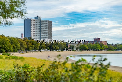 South Boston Apartment for rent 3 Bedrooms 1.5 Baths Boston - $4,400