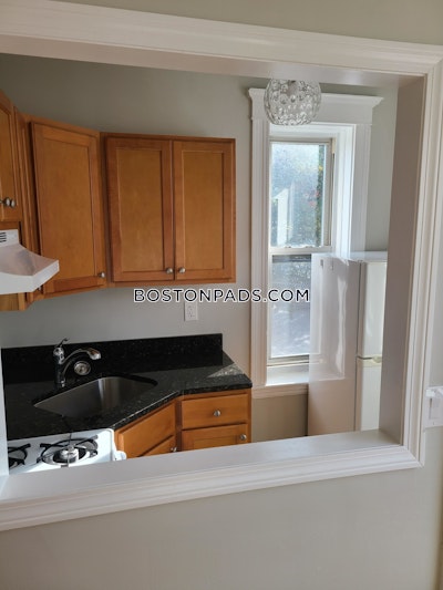 Allston Apartment for rent 1 Bedroom 1 Bath Boston - $2,200