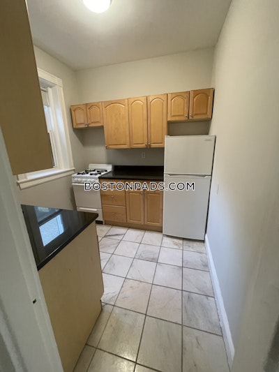 Allston Apartment for rent 1 Bedroom 1 Bath Boston - $2,800